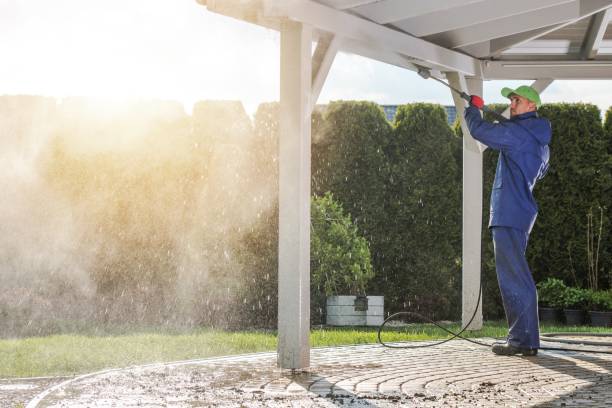 Best Solar Panel Cleaning  in East Bernard, TX